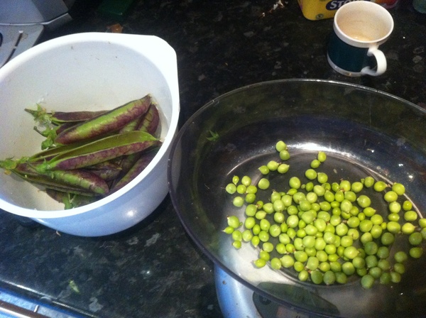 Allotment/Veg Patch Thread 14 ! growing into summer