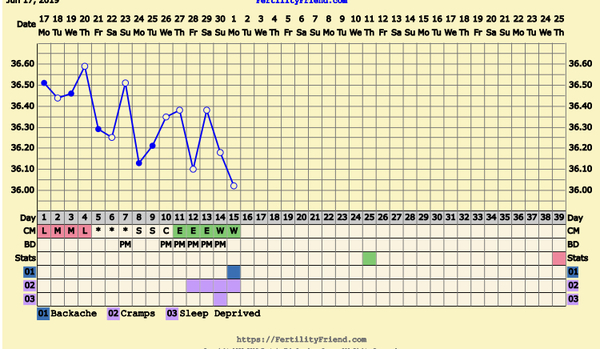 First Pregnancy Missed Miscarriage (Part III)
