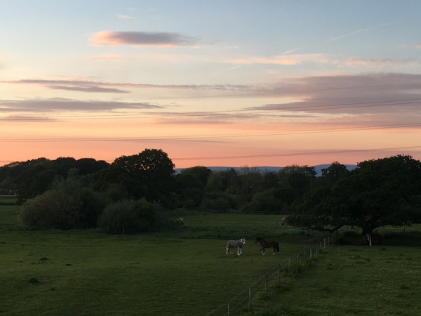 Would you pay more for a house with a great view?