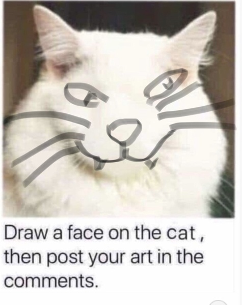 Draw a cat face challenge