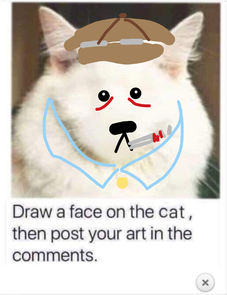 Draw a cat face challenge