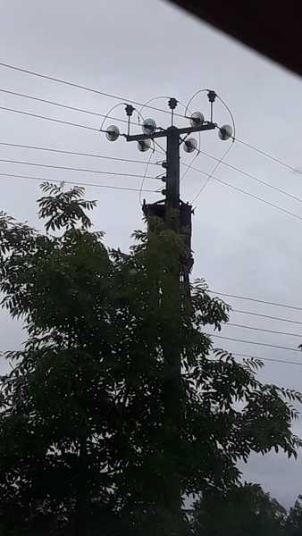 Buying near a power line