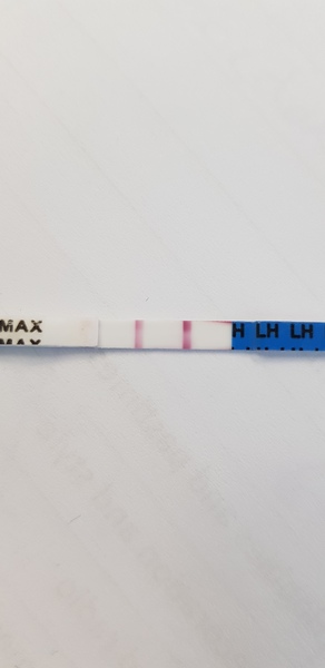 Postive (or v nearly!) Opk?