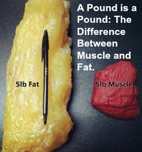 To just accept I'll always be fat!