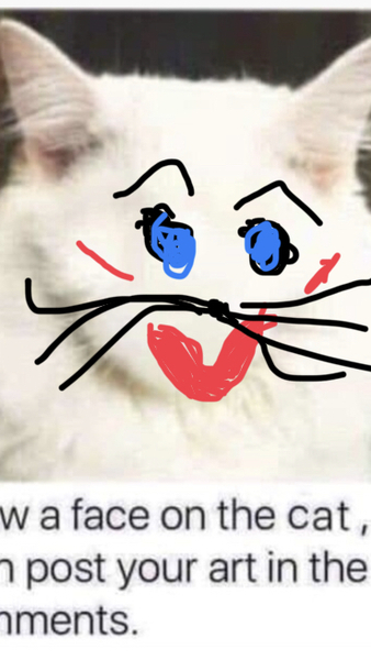 Draw a cat face challenge