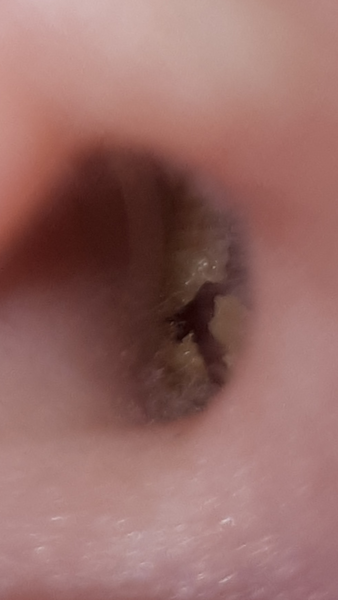 fabulous ear wac pic