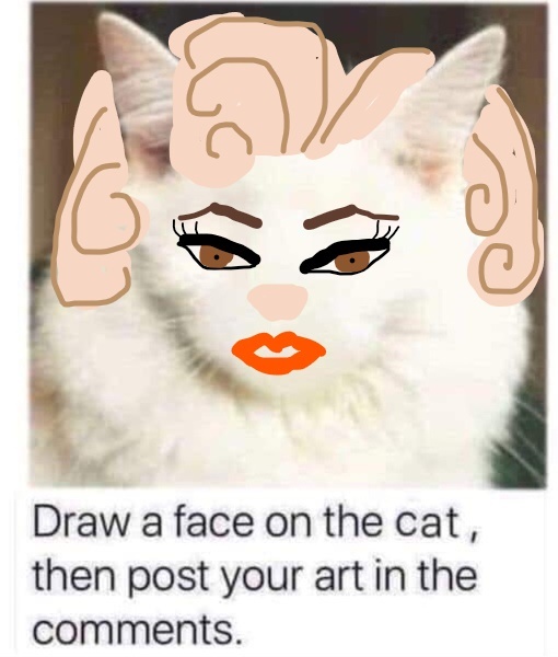 Draw a cat face challenge