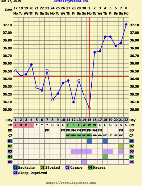 First Pregnancy Missed Miscarriage (Part III)