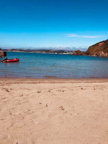 to want to live near a beach