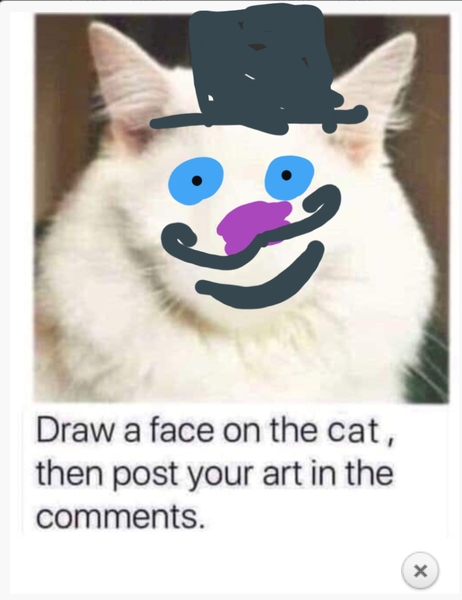 Draw a cat face challenge