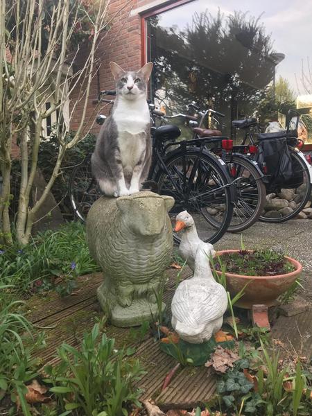 Westminsterenders where are you? NB this is NOT the official thread*