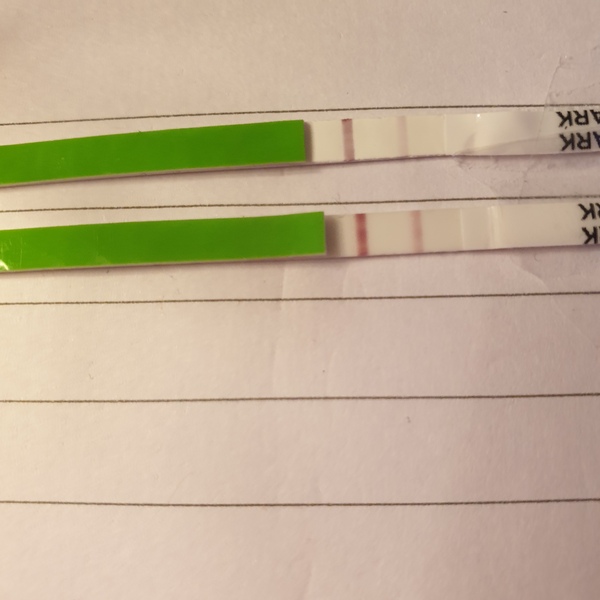 Opk progression