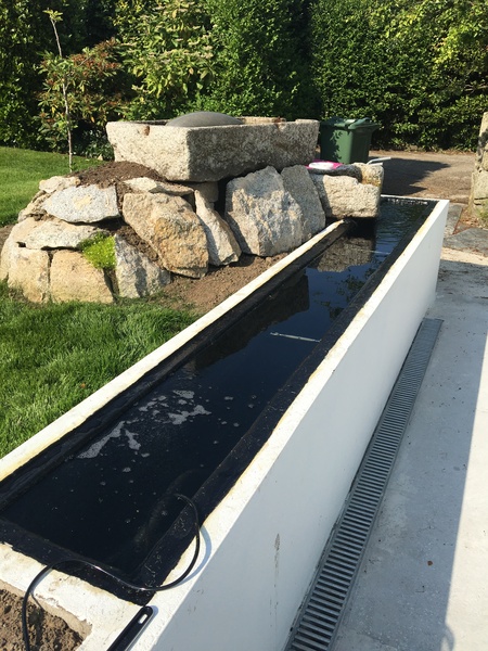 Help planning pond plants