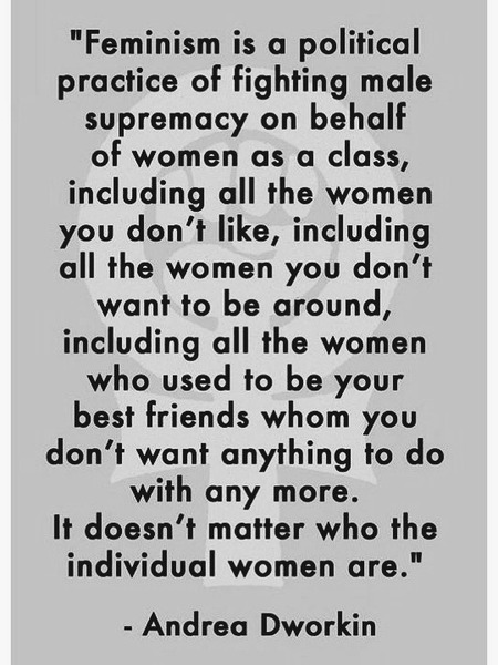 Dickpandering in feminism