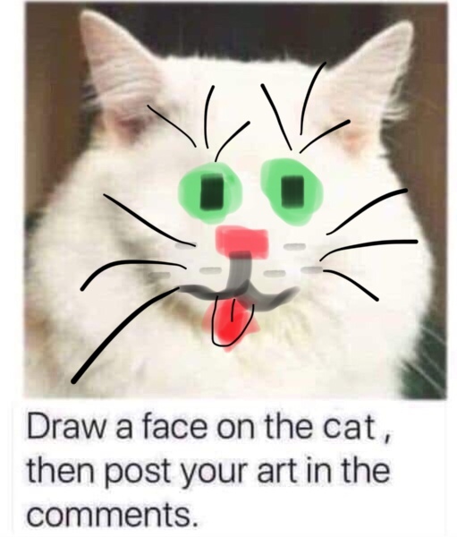 Draw a cat face challenge