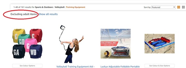 To wonder why this Amazon search returned "adult" items?
