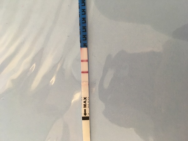 Ovulation Corner