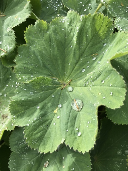 Frugal Friends, planning, saving and considerate spending through July and August