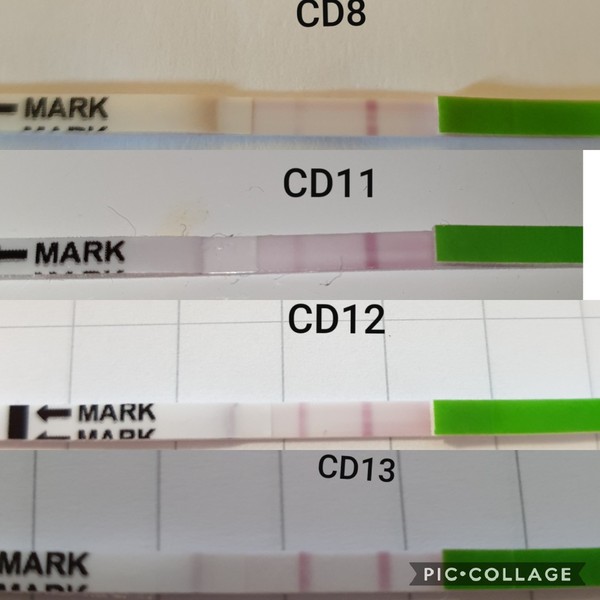 Changes after miscarriage?