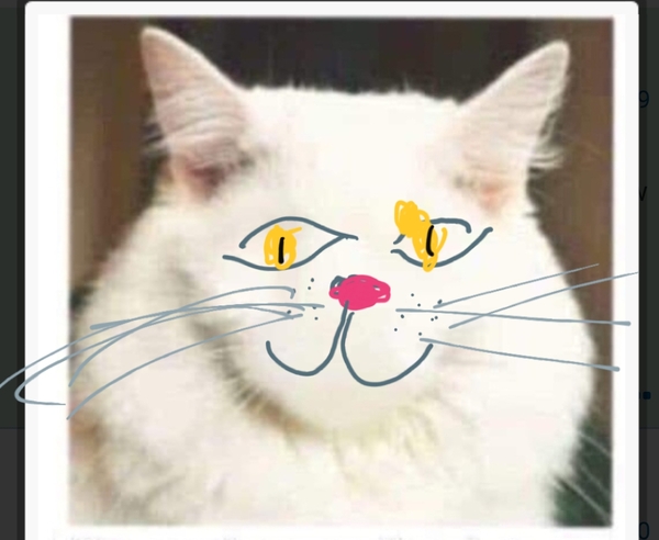 Draw a cat face challenge