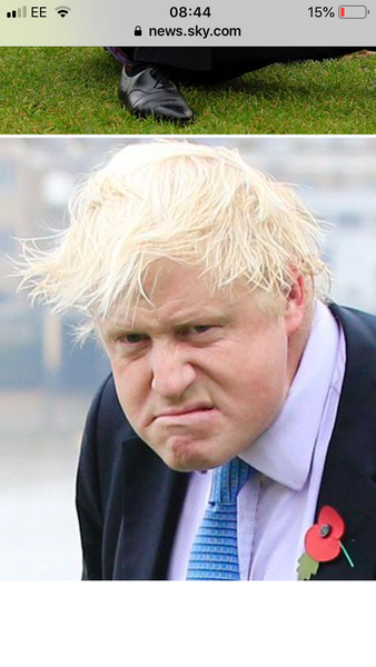 Westminstenders: Prime Minister Johnson