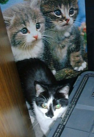 Westministenders: A New Approach? No chance.