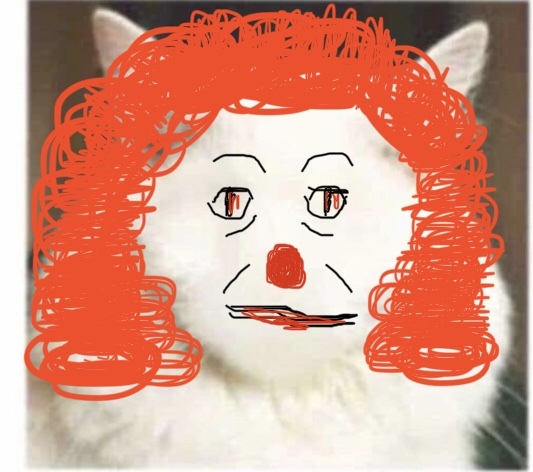 Draw a cat face challenge