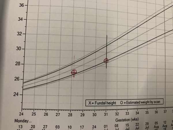 September 2019 #9 - for Twittlebee **title edited by MNHQ**