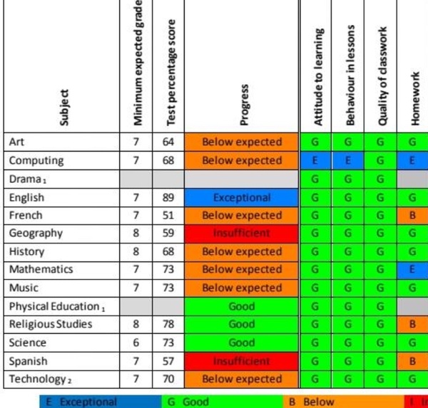 What are your thought about this year 7 child’s school report ? Is it awful ?
