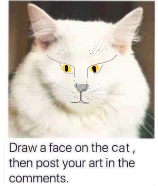 Draw a cat face challenge