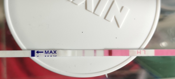 Ovulation test