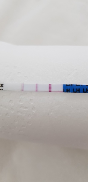 V faint positive first response but also positive OPK