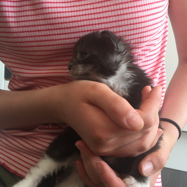 Please help me find a name for Stanley's little brother.