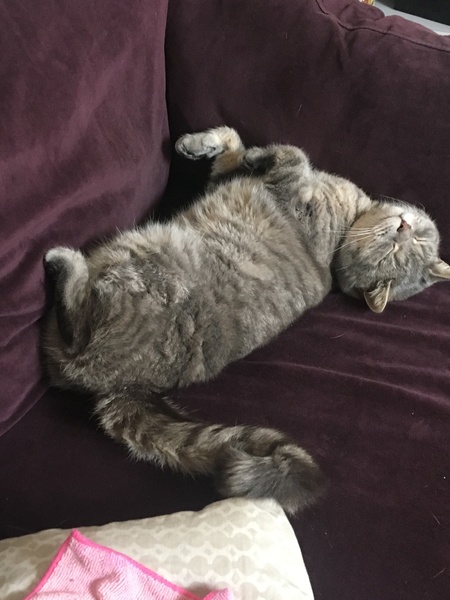 Wankerbastards and summer sunshine will make us want the bloody wine. But tryers to be dryers won't give up, and ice cold becks blue we will sup.