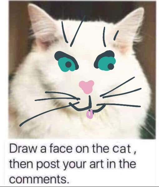 Draw a cat face challenge