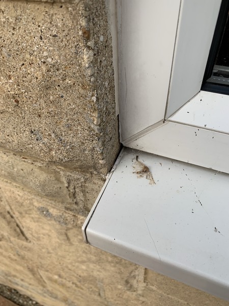 Sealing Around Window Frames