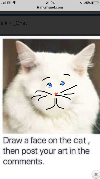Draw a cat face challenge
