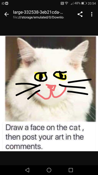 Draw a cat face challenge