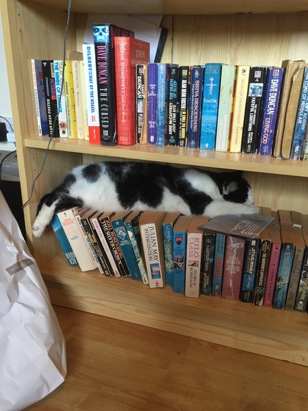 Big daft lump