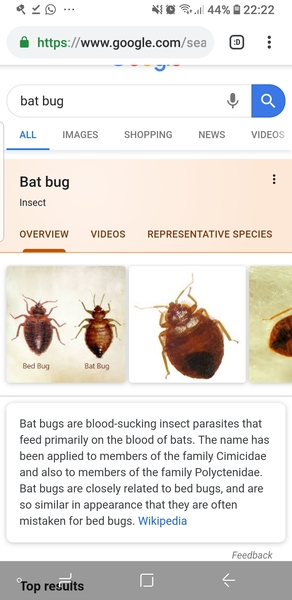 To ask what this is?