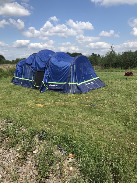 Do you think festival should have helped me?