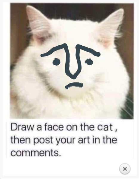 Draw a cat face challenge