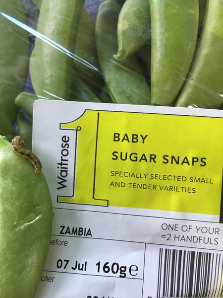 Sugar snaps Zambia Waitrose...found this...
