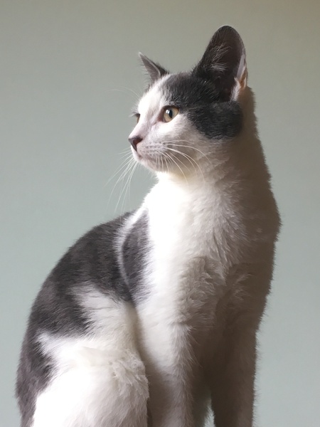 Half a stone (or 3kg) for July