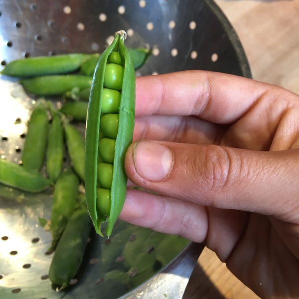 Show me your brexit stockpiles cont...