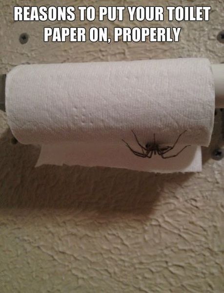 What fresh hell is this?!