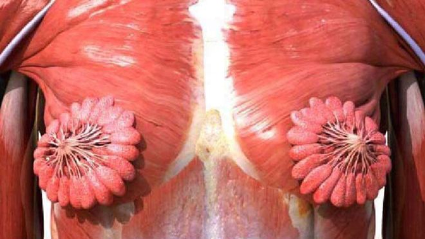 Ok so someone educate me about neo vaginas **Title edited by MNHQ at the OP's request**