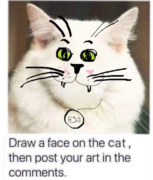 Draw a cat face challenge