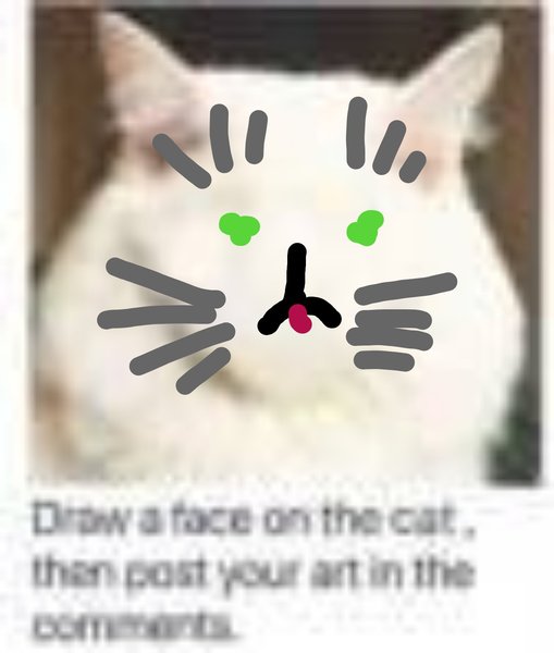 Draw a cat face challenge