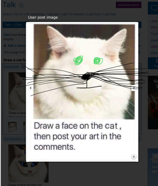 Draw a cat face challenge